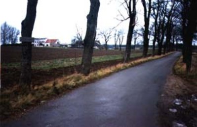 66.jpg