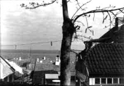 68.jpg